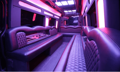 Greenville 14 Passenger Sprinter Bus Interior